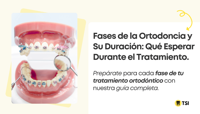 fases de la ortodoncia y su duracion que esperar durante el tratamiento